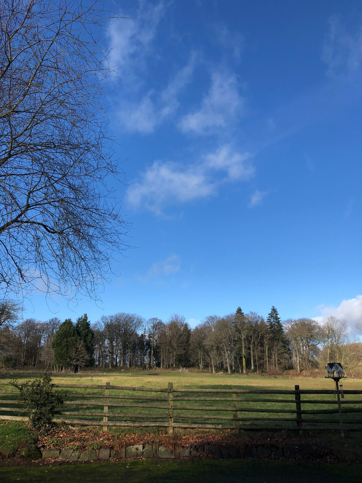 Bright winter sky above the tree line at the edge of the Ty Mawr parkland with a rustic post-and-rail fence and bird table