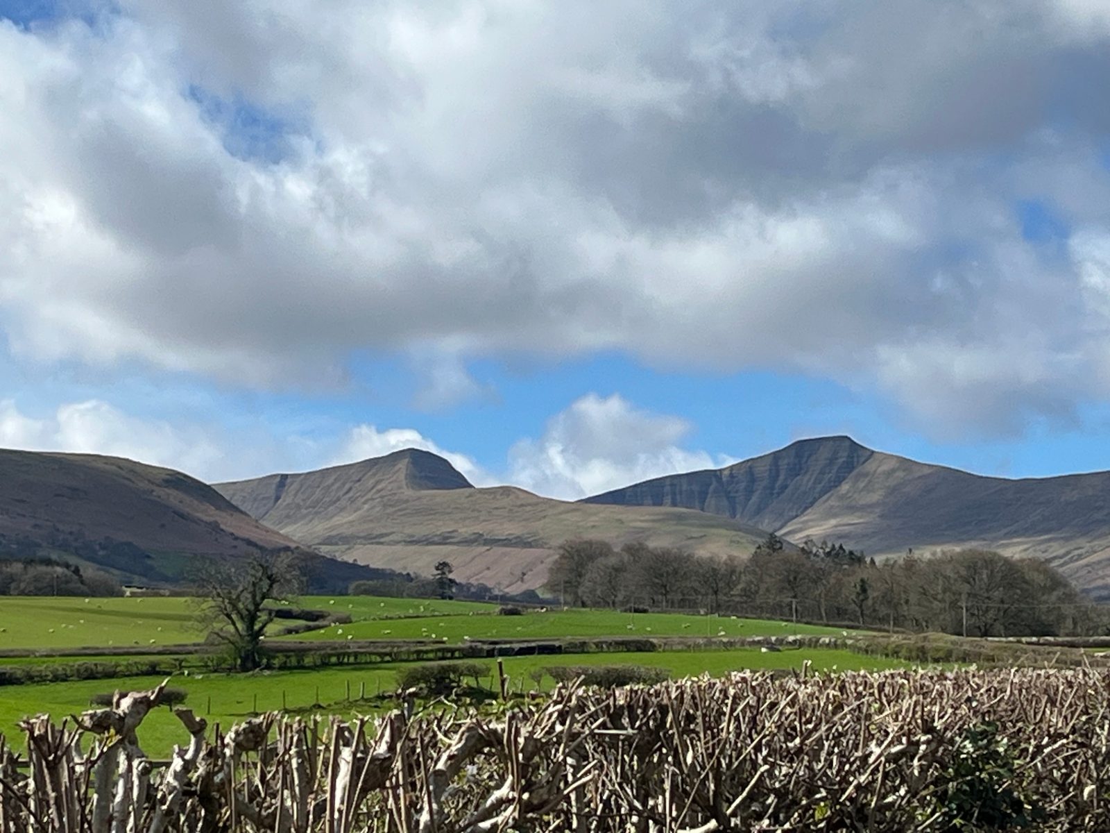 Spring skies over the peaks of the Brecon Beacons above hedgerows and grazing fields