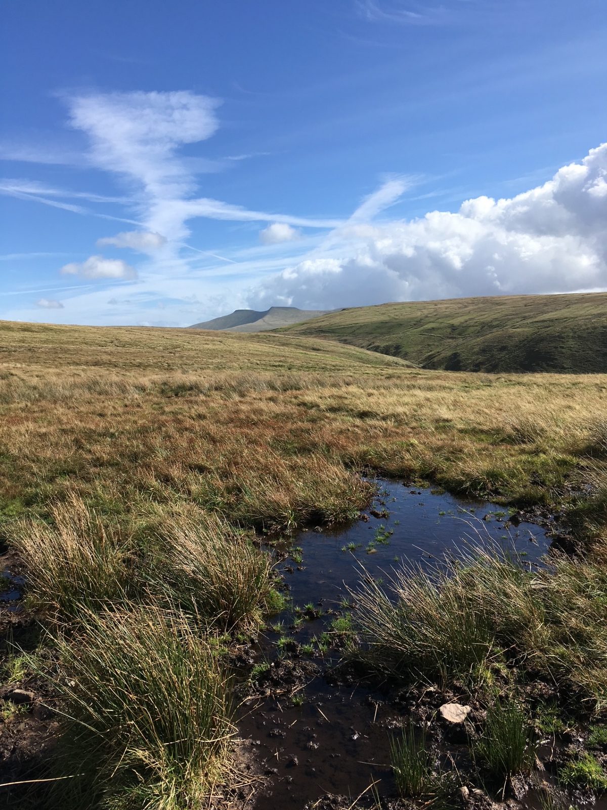 View across open Brecon Beacons moorland with tussock grasses, a moorland pool and Pen y Fan and Corn Du on the horizon