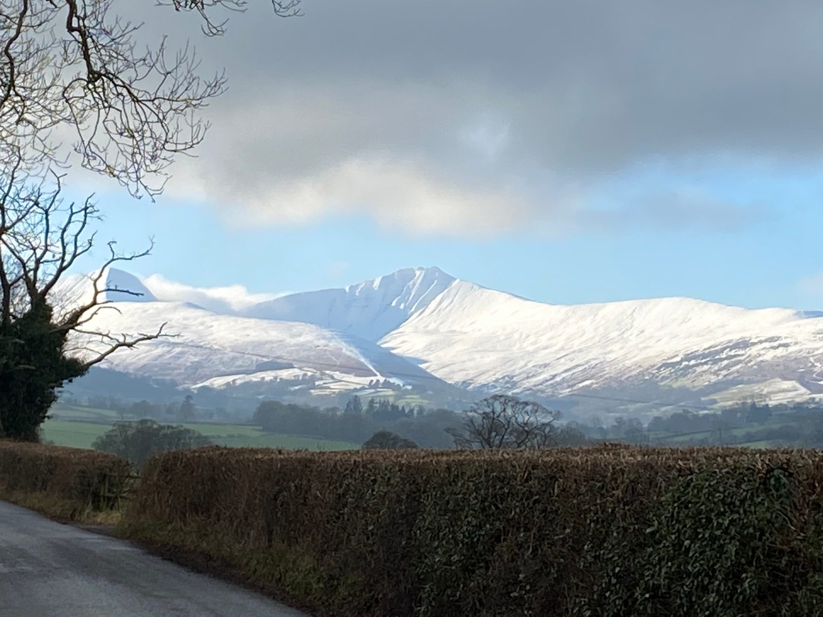 Snow-capped Pen y Fan and Corn Du rising above green fields and a country hedgerow as winter arrives on the Ty Mawr Estate