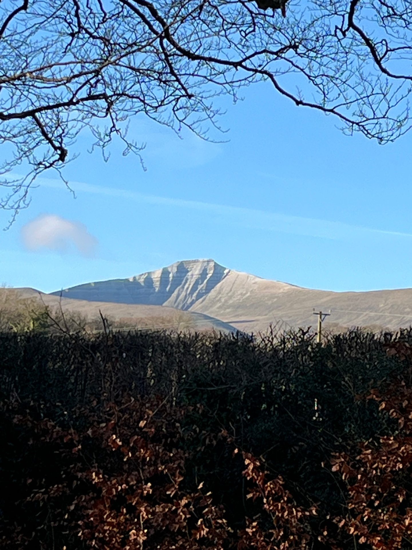 The first dusting of snow on Pen y Fan seen through winter branches above a Brecon Beacons hedgerow
