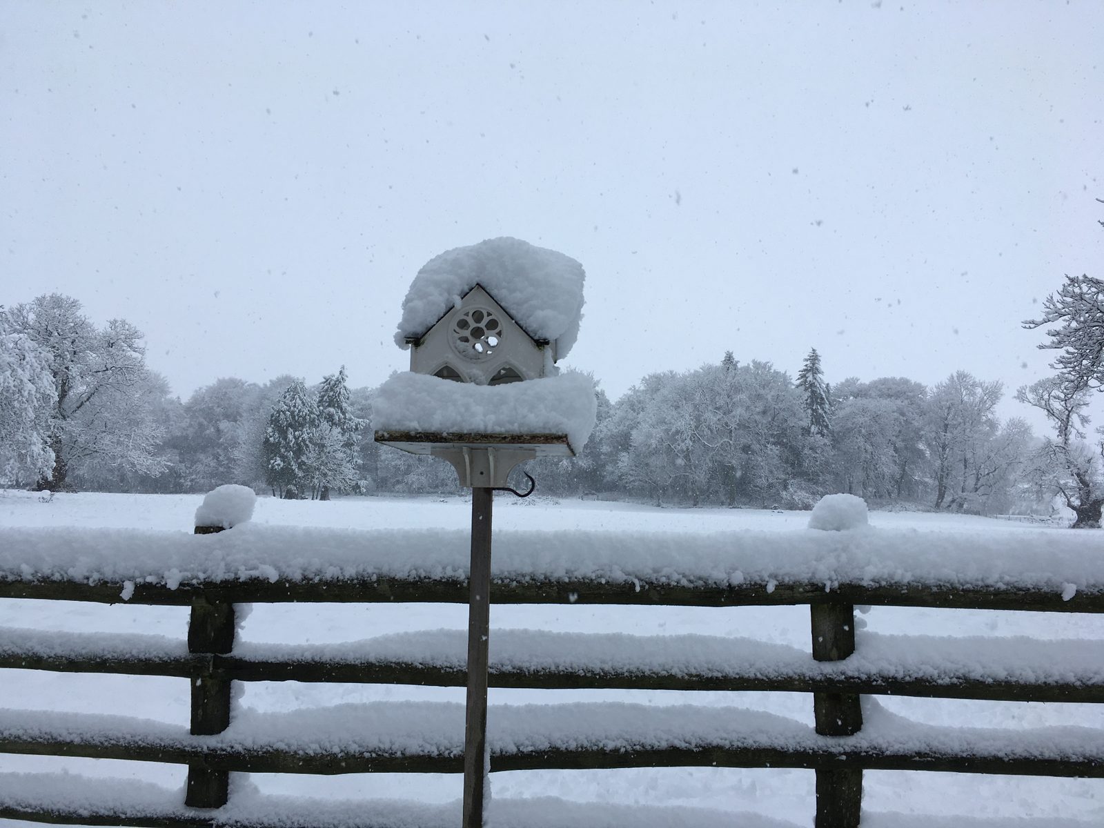 A Gothic-style bird table piled with fresh snow overlooking the wintry Ty Mawr parkland during a heavy snowfall