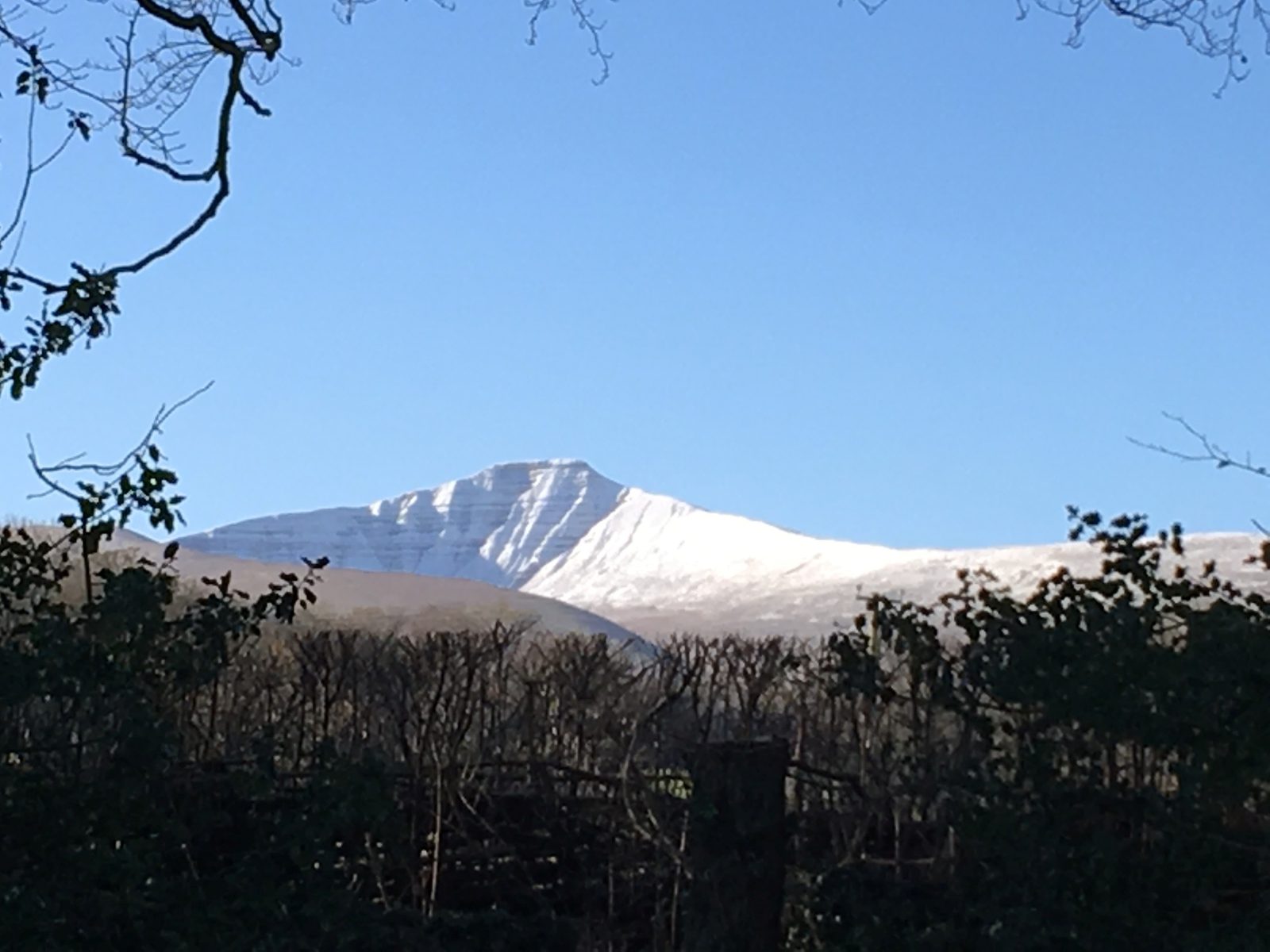 Snow-covered summit of Pen y Fan under a clear blue sky framed by bare winter branches at the edge of the Ty Mawr parkland