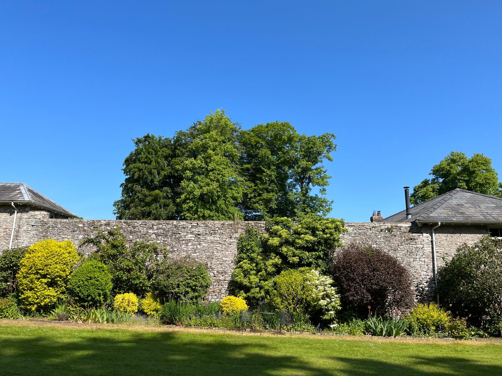 The long border at The Dairy running beneath the estate's centuries-old stone boundary wall