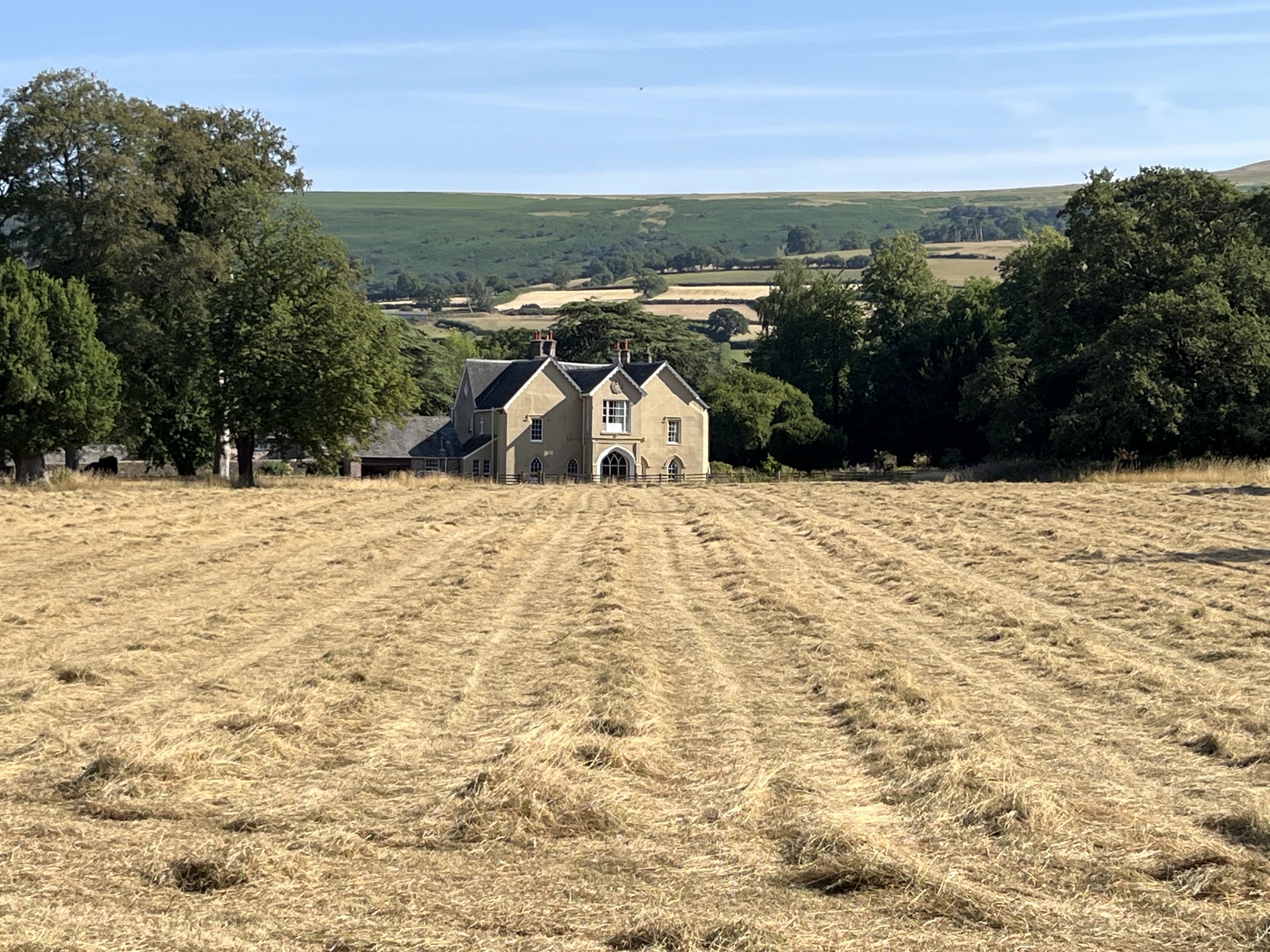 Tedding the field