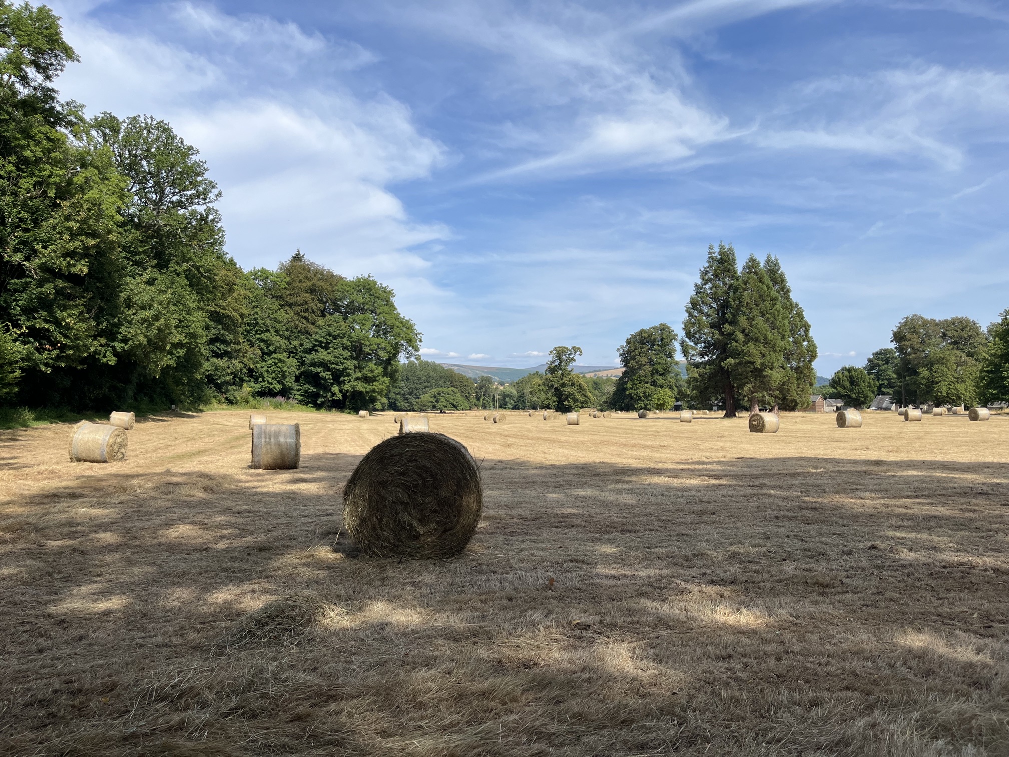 All baled