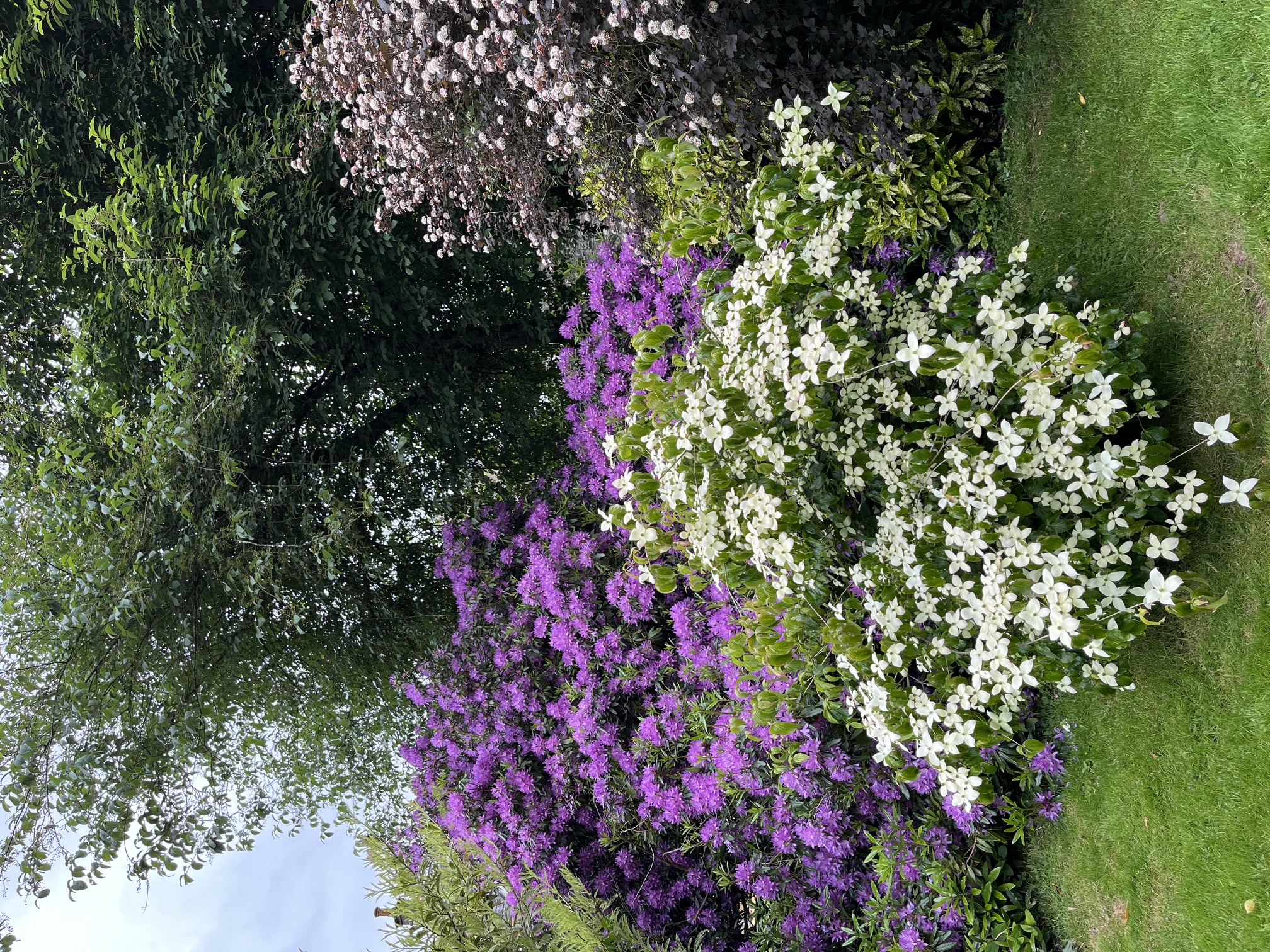 Rhodos in June