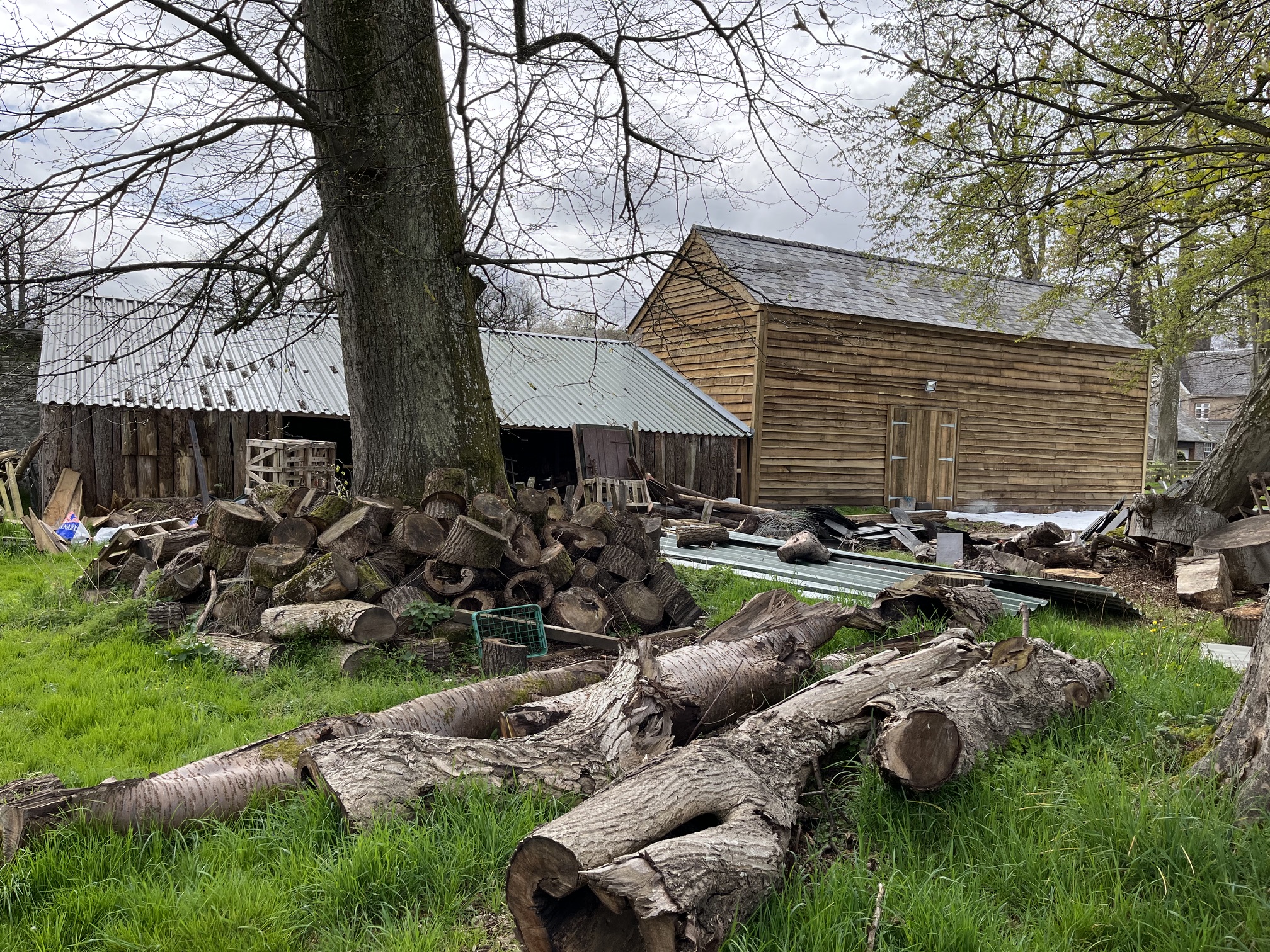 Wood for chopping