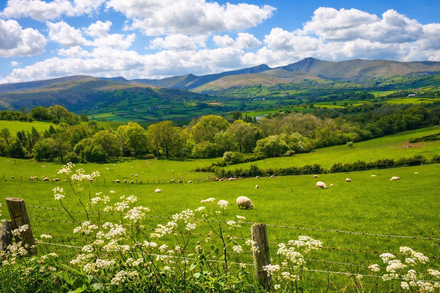 View to the Brecon Beacons