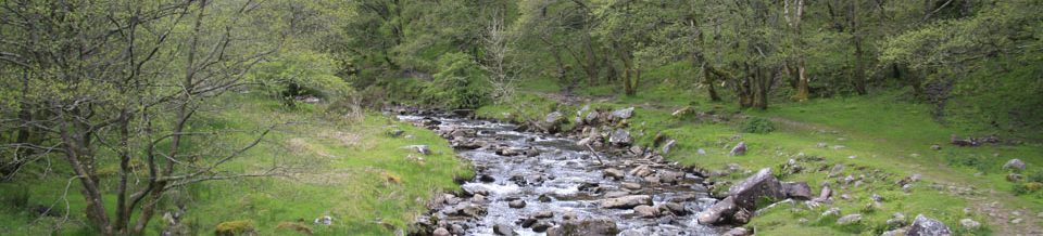 Brecon Beacons Mountain River