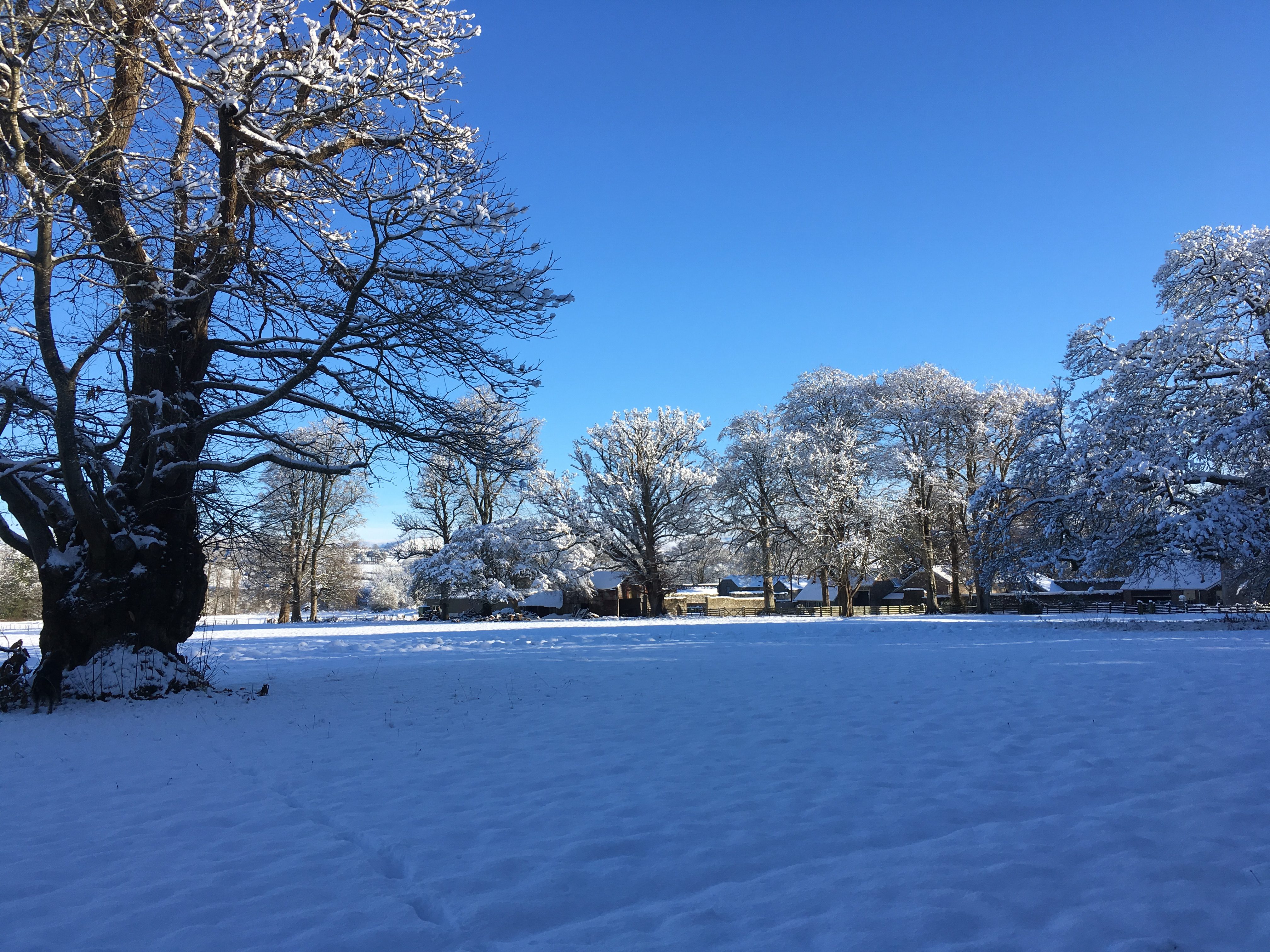 Views of the luxury accommodation